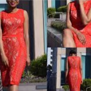 BRAND NEW CARDALITE LACE SLEEVELESS ROUNDNECK DRESS